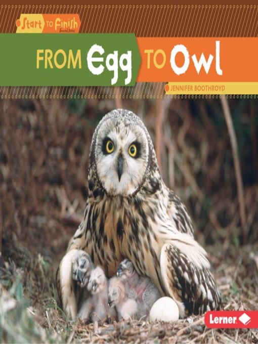 Title details for From Egg to Owl by Jennifer Boothroyd - Available